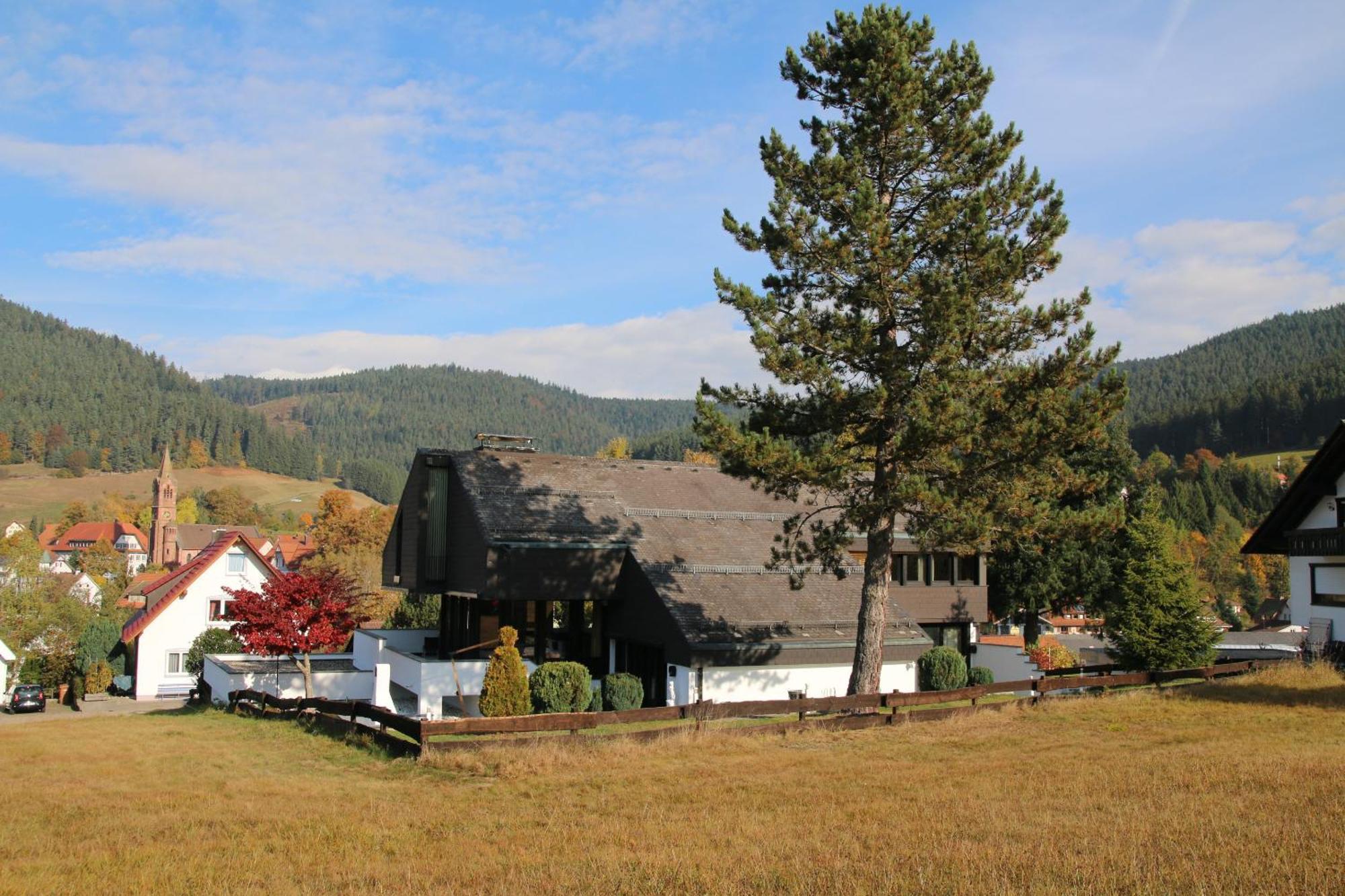 Luxus-Landhaus Im Schwarzwald/Baiersbronn Mit Pool ภายนอก รูปภาพ