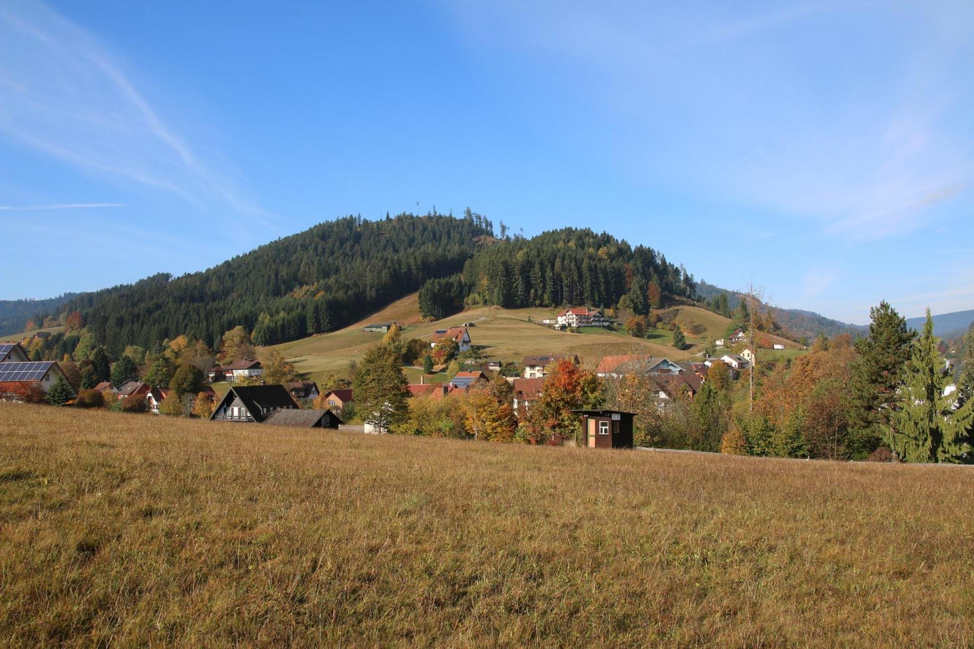 Luxus-Landhaus Im Schwarzwald/Baiersbronn Mit Pool ภายนอก รูปภาพ